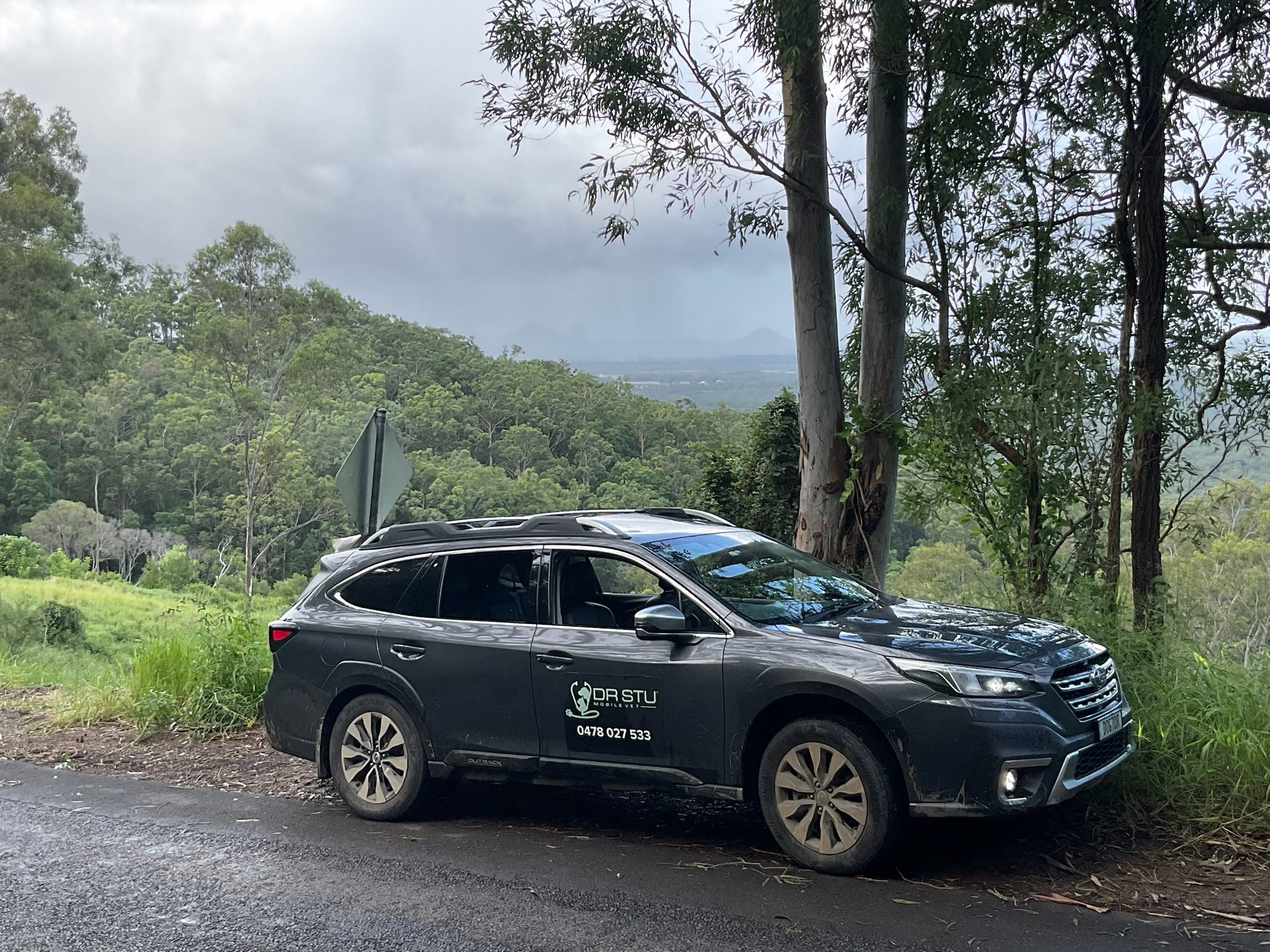 Personalised Mobile Vet car on winding mountain road in fog, showing we travel long distances for mobile vet visits across Brisbane and surrounds